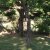 campingyuste (10)